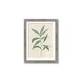 Picture of Swaying Foliage II _GroupedProduct_Rectangle_Portrait_Framed_Matted_