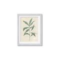Picture of Swaying Foliage II _GroupedProduct_Rectangle_Portrait_Framed_Matted_