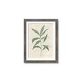 Picture of Swaying Foliage II _GroupedProduct_Rectangle_Portrait_Framed_Matted_