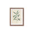 Picture of Swaying Foliage II _GroupedProduct_Rectangle_Portrait_Framed_Matted_