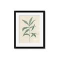Picture of Swaying Foliage II _GroupedProduct_Rectangle_Portrait_Framed_Matted_