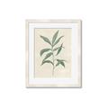 Picture of Swaying Foliage II _GroupedProduct_Rectangle_Portrait_Framed_Matted_