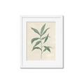 Picture of Swaying Foliage II _GroupedProduct_Rectangle_Portrait_Framed_Matted_