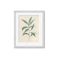 Picture of Swaying Foliage II _GroupedProduct_Rectangle_Portrait_Framed_Matted_