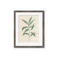 Picture of Swaying Foliage II _GroupedProduct_Rectangle_Portrait_Framed_Matted_