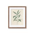 Picture of Swaying Foliage II _GroupedProduct_Rectangle_Portrait_Framed_Matted_