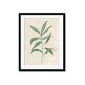 Picture of Swaying Foliage II _GroupedProduct_Rectangle_Portrait_Framed_Matted_