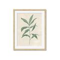 Picture of Swaying Foliage II _GroupedProduct_Rectangle_Portrait_Framed_Matted_