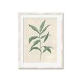 Picture of Swaying Foliage II _GroupedProduct_Rectangle_Portrait_Framed_Matted_