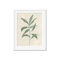 Picture of Swaying Foliage II _GroupedProduct_Rectangle_Portrait_Framed_Matted_