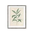 Picture of Swaying Foliage II _GroupedProduct_Rectangle_Portrait_Framed_Matted_