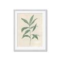 Picture of Swaying Foliage II _GroupedProduct_Rectangle_Portrait_Framed_Matted_