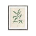 Picture of Swaying Foliage II _GroupedProduct_Rectangle_Portrait_Framed_Matted_