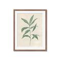 Picture of Swaying Foliage II _GroupedProduct_Rectangle_Portrait_Framed_Matted_