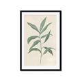 Picture of Swaying Foliage II _GroupedProduct_Rectangle_Portrait_Framed_Matted_
