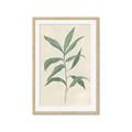 Picture of Swaying Foliage II _GroupedProduct_Rectangle_Portrait_Framed_Matted_