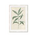 Picture of Swaying Foliage II _GroupedProduct_Rectangle_Portrait_Framed_Matted_