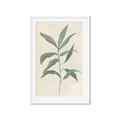 Picture of Swaying Foliage II _GroupedProduct_Rectangle_Portrait_Framed_Matted_