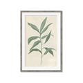 Picture of Swaying Foliage II _GroupedProduct_Rectangle_Portrait_Framed_Matted_