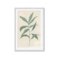 Picture of Swaying Foliage II _GroupedProduct_Rectangle_Portrait_Framed_Matted_