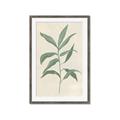 Picture of Swaying Foliage II _GroupedProduct_Rectangle_Portrait_Framed_Matted_