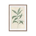 Picture of Swaying Foliage II _GroupedProduct_Rectangle_Portrait_Framed_Matted_