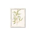 Picture of Botanical Strand I _GroupedProduct_Rectangle_Portrait_Framed_Matted_