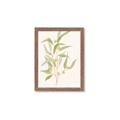 Picture of Botanical Strand I _GroupedProduct_Rectangle_Portrait_Framed_Matted_