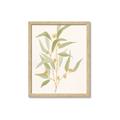 Picture of Botanical Strand I _GroupedProduct_Rectangle_Portrait_Framed_Matted_