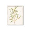 Picture of Botanical Strand I _GroupedProduct_Rectangle_Portrait_Framed_Matted_