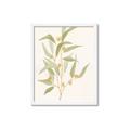 Picture of Botanical Strand I _GroupedProduct_Rectangle_Portrait_Framed_Matted_