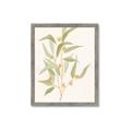 Picture of Botanical Strand I _GroupedProduct_Rectangle_Portrait_Framed_Matted_