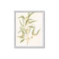 Picture of Botanical Strand I _GroupedProduct_Rectangle_Portrait_Framed_Matted_