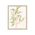Picture of Botanical Strand I _GroupedProduct_Rectangle_Portrait_Framed_Matted_