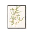 Picture of Botanical Strand I _GroupedProduct_Rectangle_Portrait_Framed_Matted_
