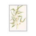 Picture of Botanical Strand I _GroupedProduct_Rectangle_Portrait_Framed_Matted_