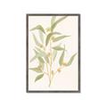 Picture of Botanical Strand I _GroupedProduct_Rectangle_Portrait_Framed_Matted_