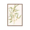 Picture of Botanical Strand I _GroupedProduct_Rectangle_Portrait_Framed_Matted_