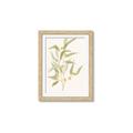 Picture of Botanical Strand I _GroupedProduct_Rectangle_Portrait_Framed_Matted_