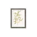 Picture of Botanical Strand I _GroupedProduct_Rectangle_Portrait_Framed_Matted_