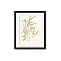Picture of Botanical Strand I _GroupedProduct_Rectangle_Portrait_Framed_Matted_