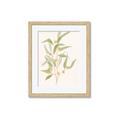 Picture of Botanical Strand I _GroupedProduct_Rectangle_Portrait_Framed_Matted_