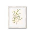 Picture of Botanical Strand I _GroupedProduct_Rectangle_Portrait_Framed_Matted_