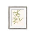Picture of Botanical Strand I _GroupedProduct_Rectangle_Portrait_Framed_Matted_