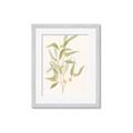 Picture of Botanical Strand I _GroupedProduct_Rectangle_Portrait_Framed_Matted_