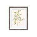 Picture of Botanical Strand I _GroupedProduct_Rectangle_Portrait_Framed_Matted_