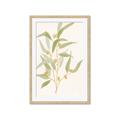 Picture of Botanical Strand I _GroupedProduct_Rectangle_Portrait_Framed_Matted_