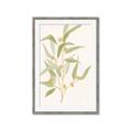 Picture of Botanical Strand I _GroupedProduct_Rectangle_Portrait_Framed_Matted_