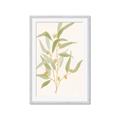 Picture of Botanical Strand I _GroupedProduct_Rectangle_Portrait_Framed_Matted_