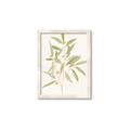 Picture of Botanical Strand II _GroupedProduct_Rectangle_Portrait_Framed_Matted_
